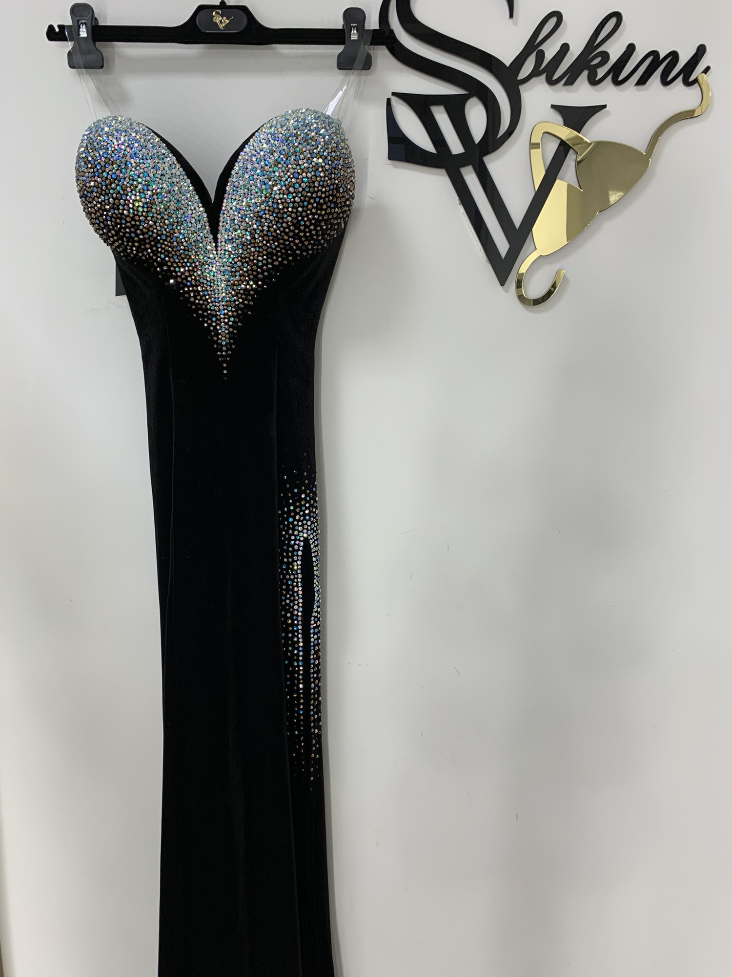 img_2061_2000x2000_436 Incomparable Aster - Image 1